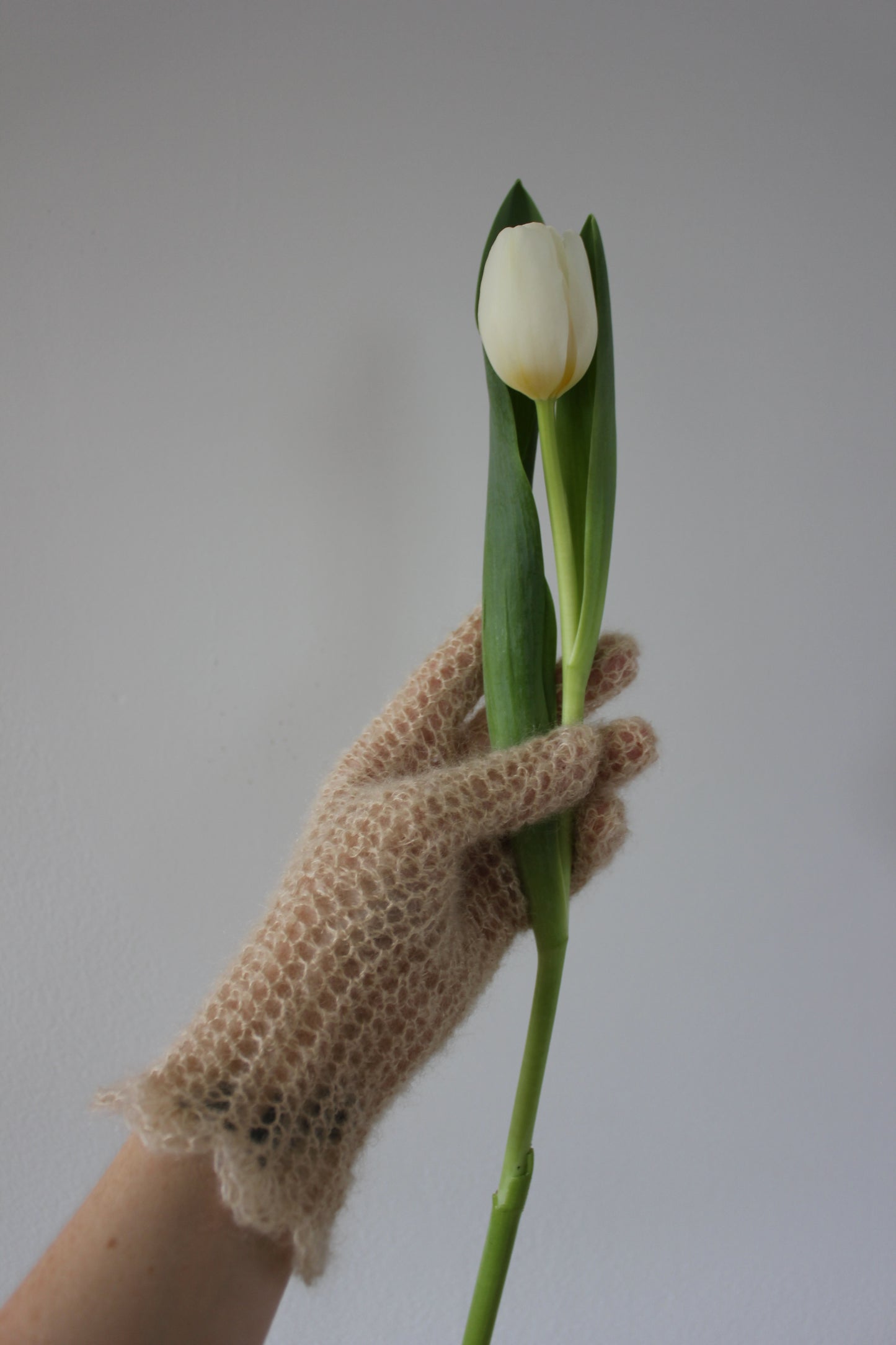 The Spring Gloves (cream)